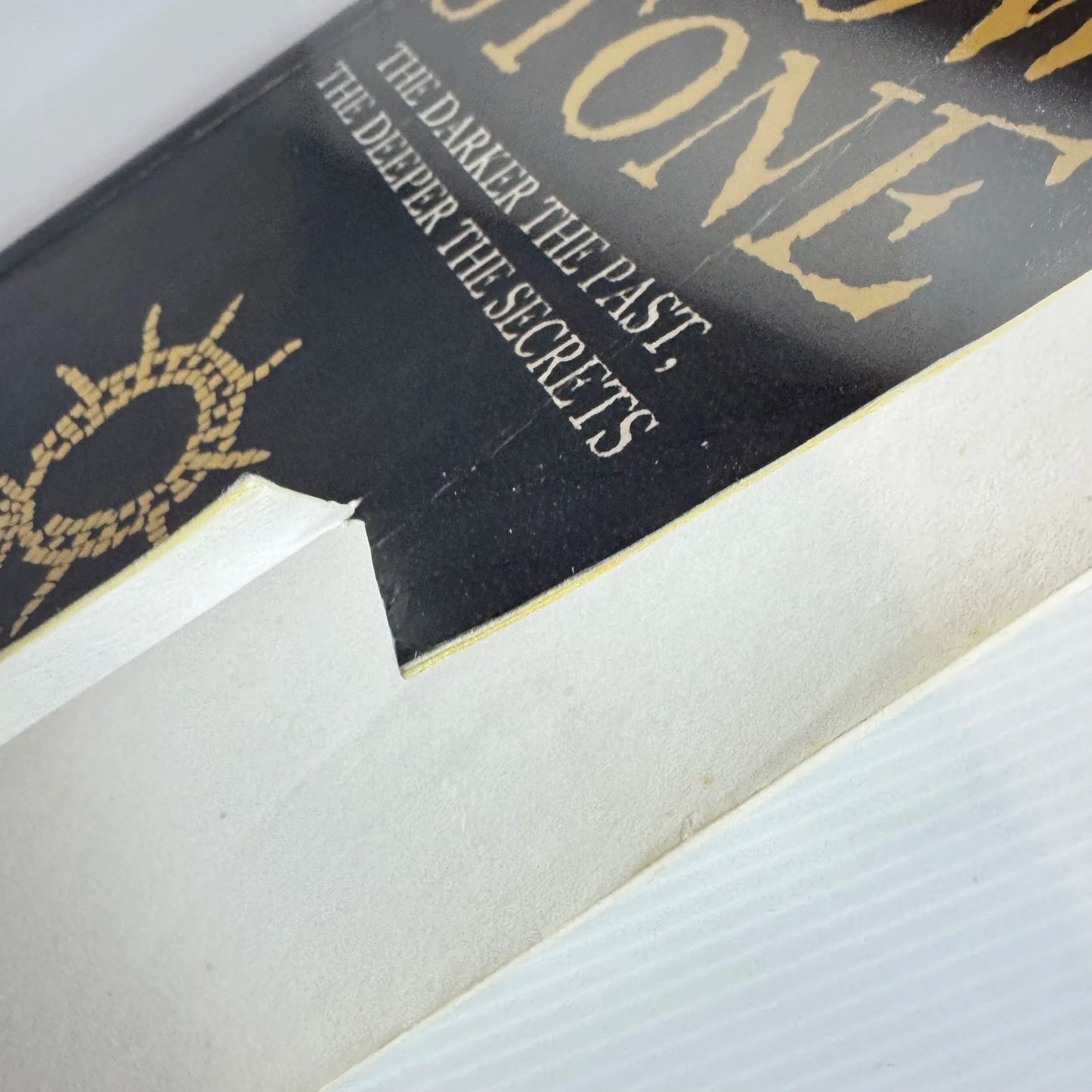 Crow Stone : The Darker the Past, The Deeper the Secrets - Jenni Mills