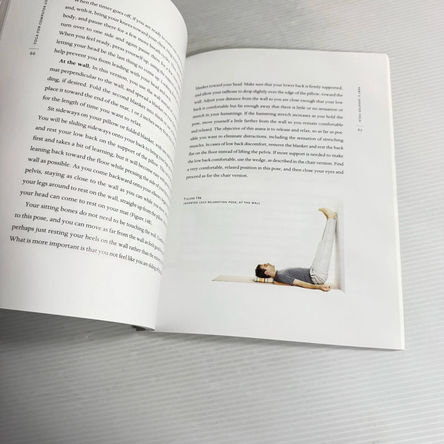 Yoga for Computer Users - Sandy Blaine