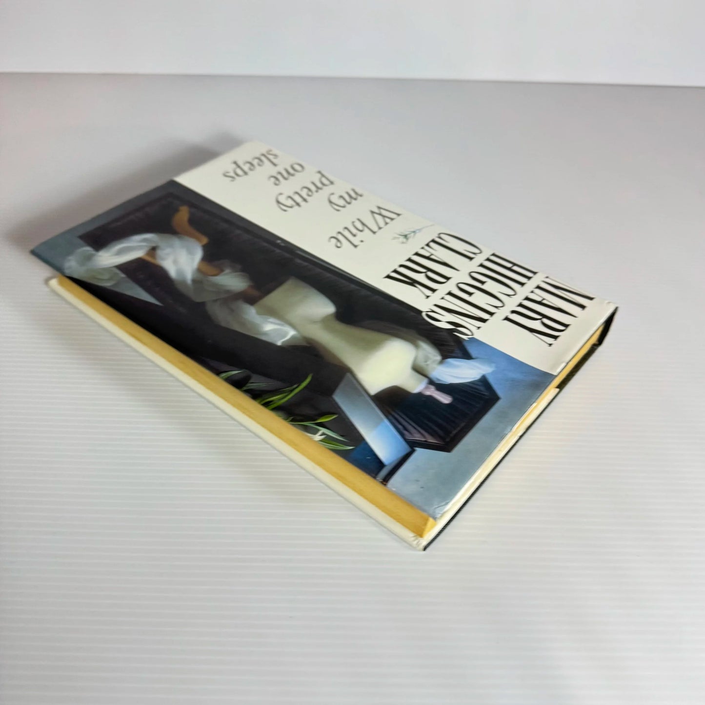 While My Pretty One Sleeps - Mary Higgins Clark