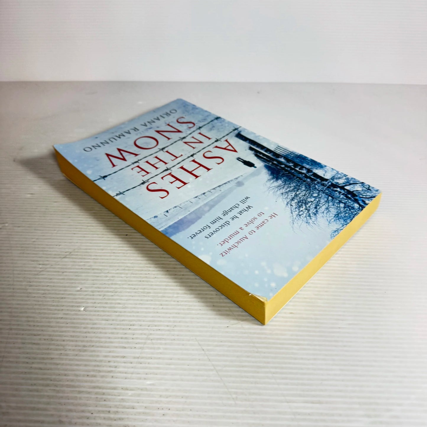 Ashes In The Snow - Oriana Ramunno
