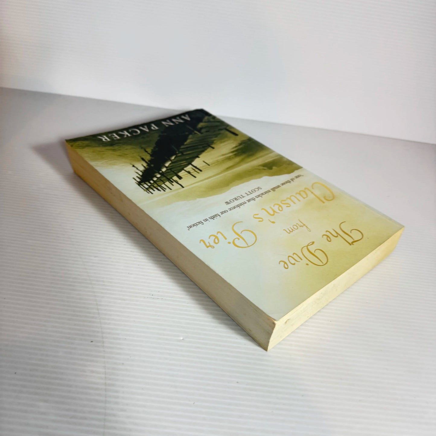 The Dive from Clausen's Pier - Ann Packer
