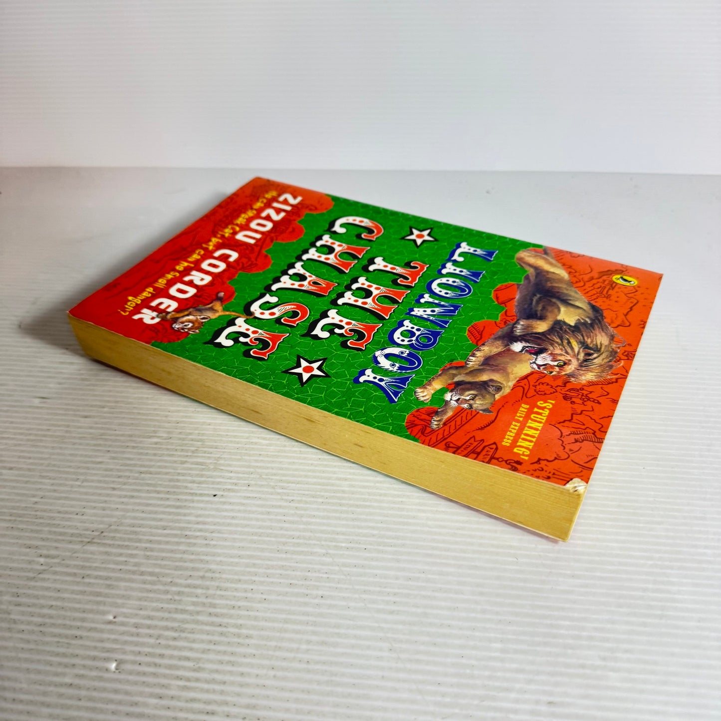 Lionboy The Chase - Zizou Corder