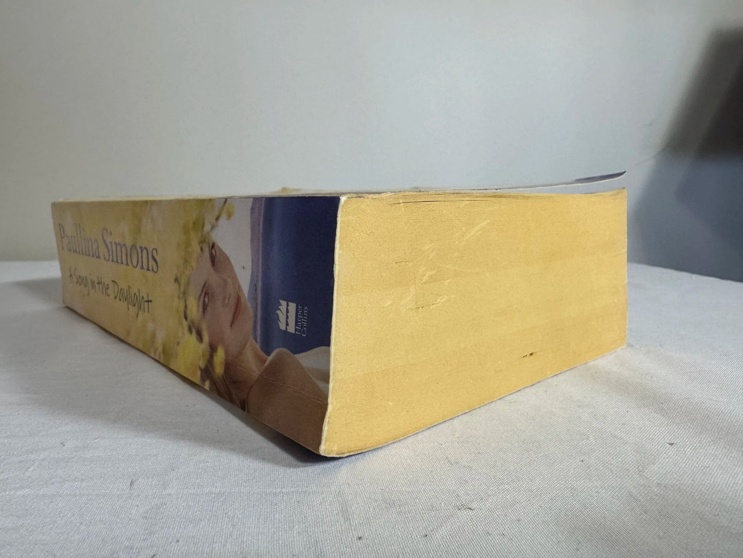 A Song in the Daylight - Paullina Simons