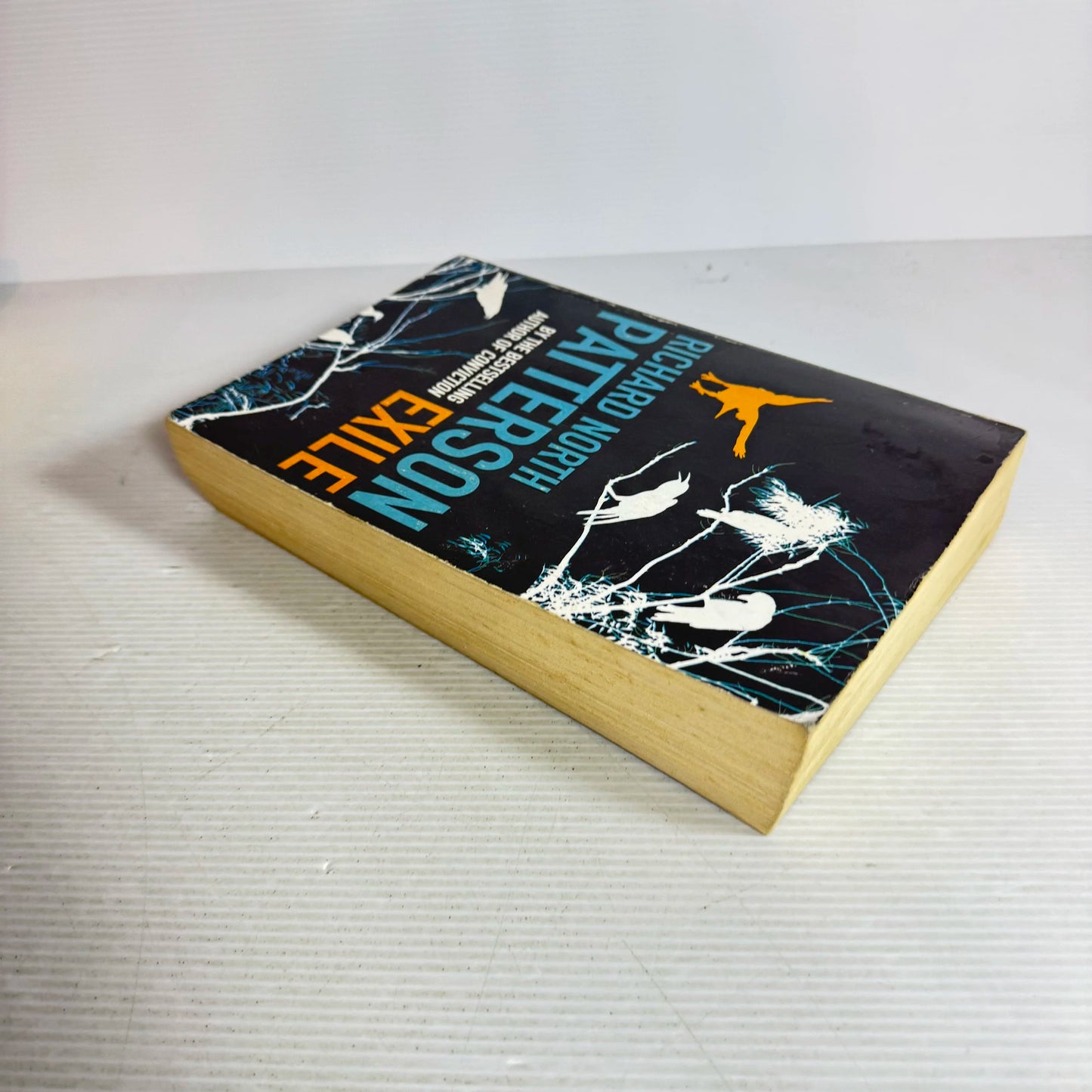 Exile - Richard North Patterson