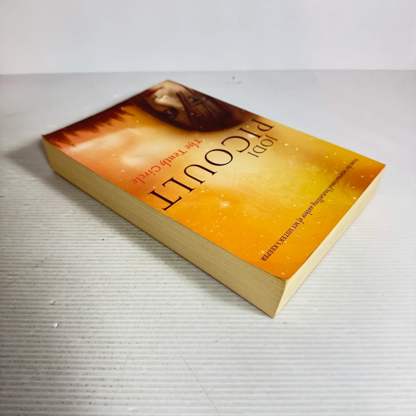 The Tenth Circle - Jodi Picoult