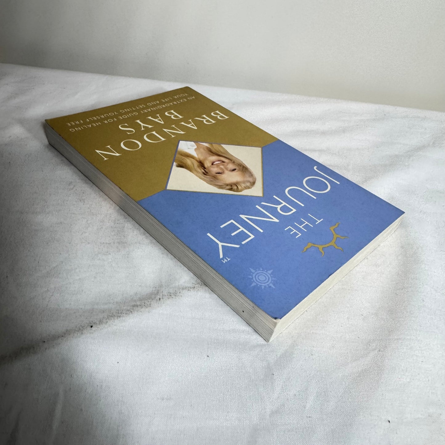 The Journey - Brandon Bays