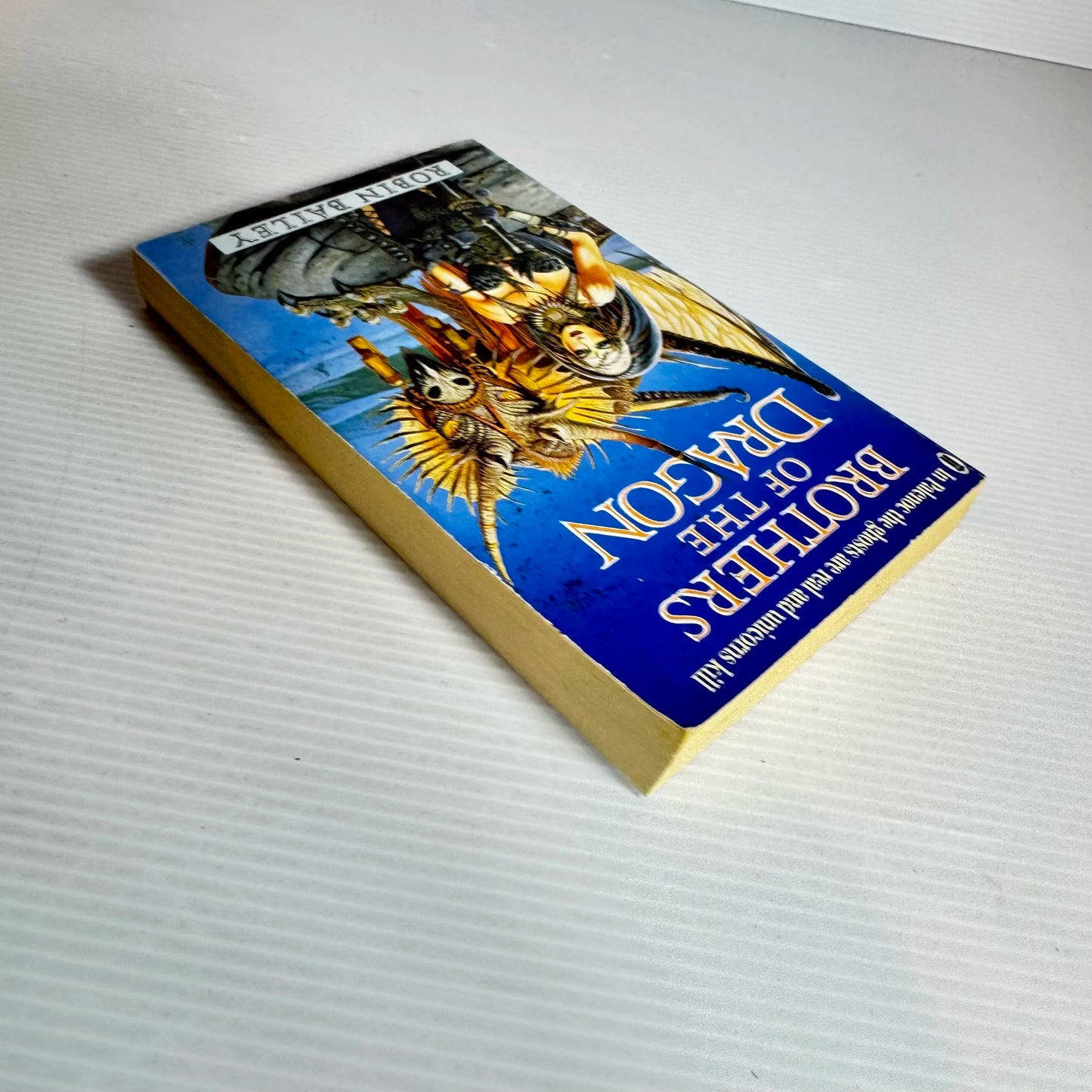 Brothers Of The Dragon - Robin Bailey