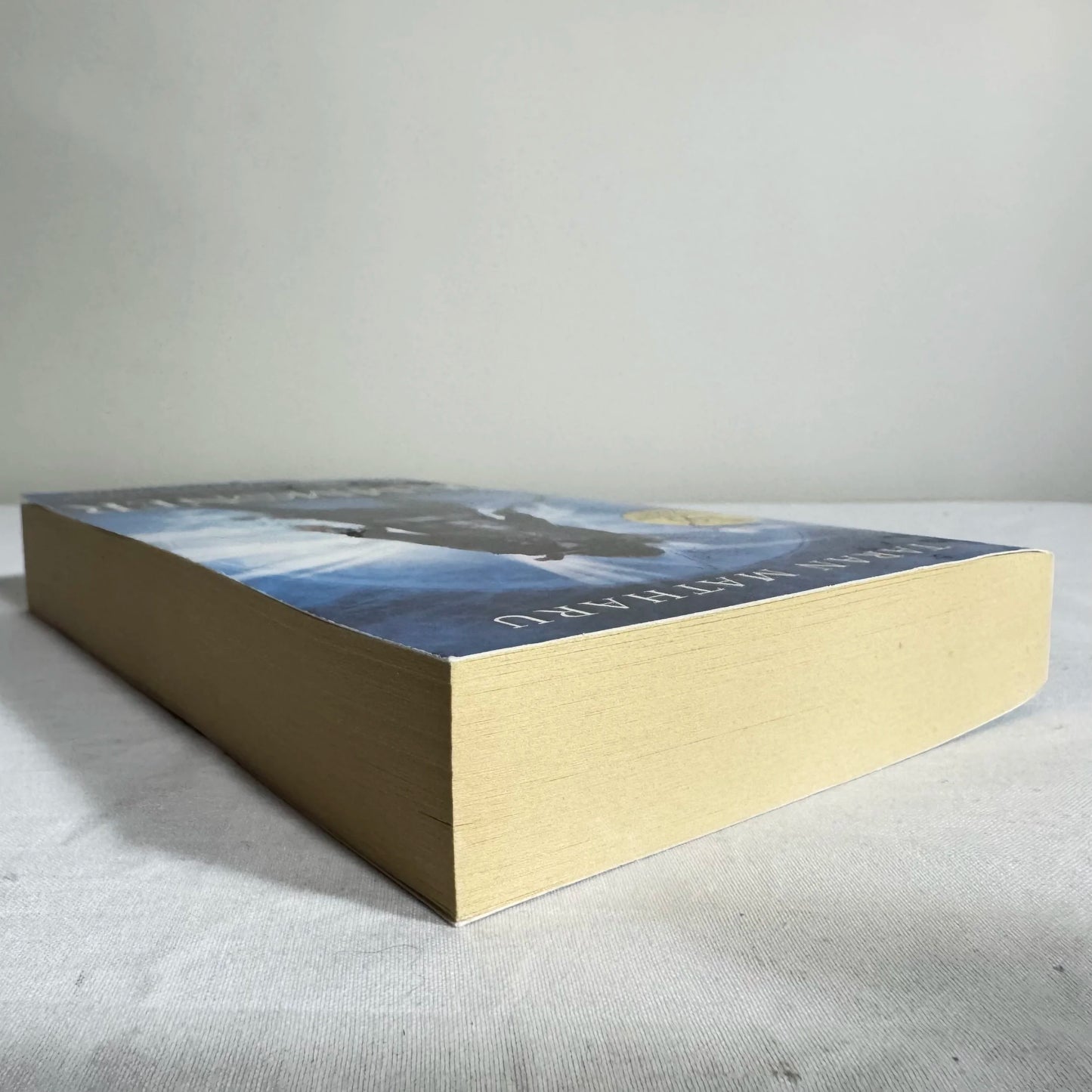 Summoner : The Novice - Taran Matharu