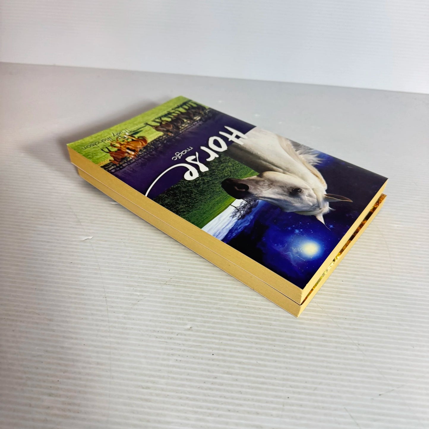 Children's Horse Book Bundle x 2 by Trudy Nicolson - Horse Magic & Autumn with Horses