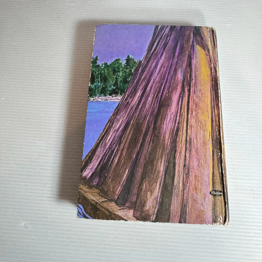 Huckleberry Finn - Mark Twain (Vintage 1970)