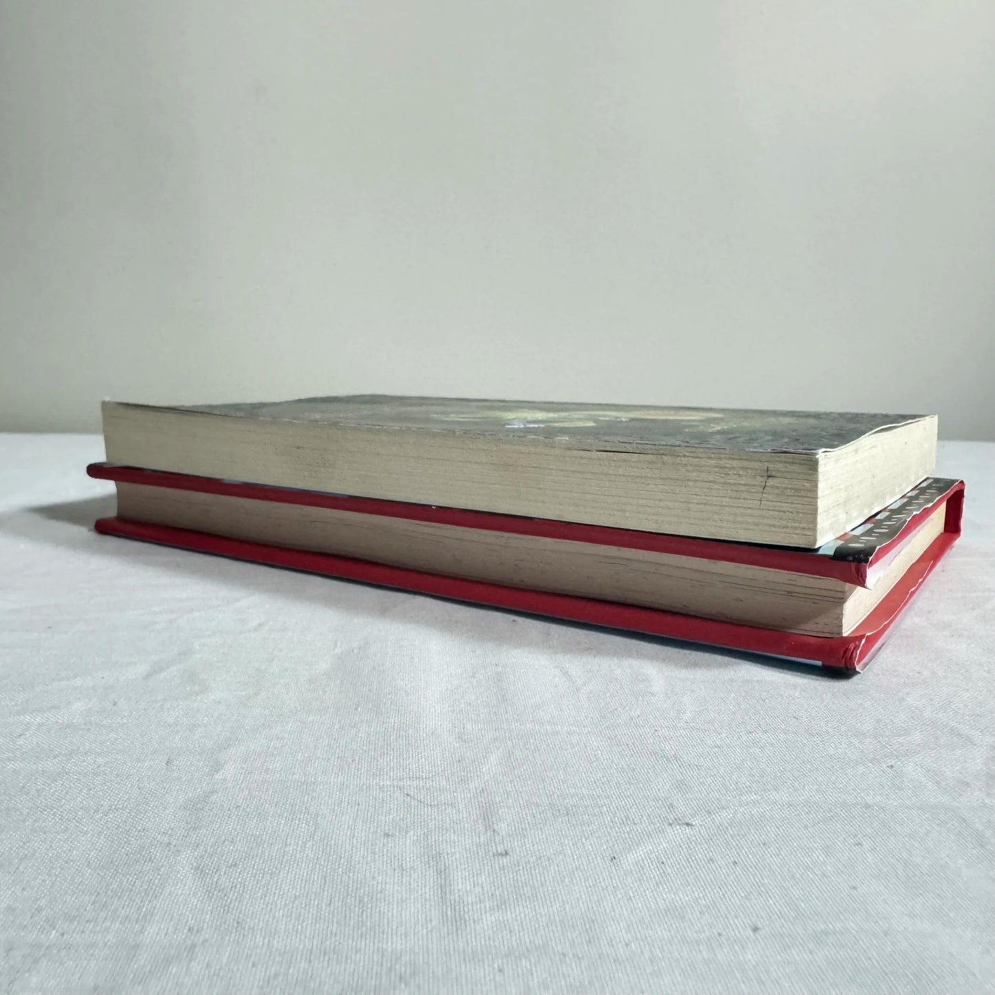 Children's Chapter Book Bundle x 2 Books