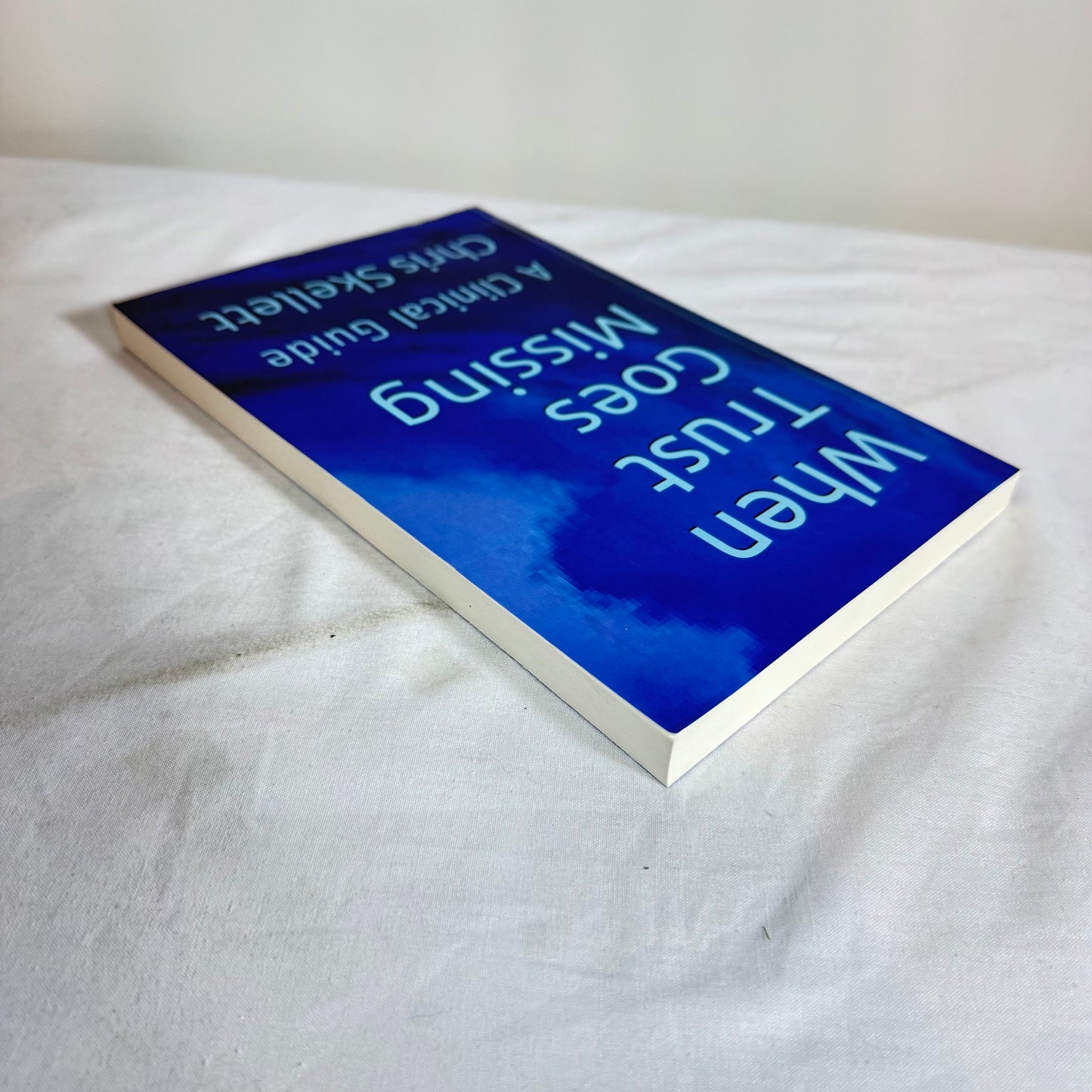 When Trust Goes Missing - Chris Skellett