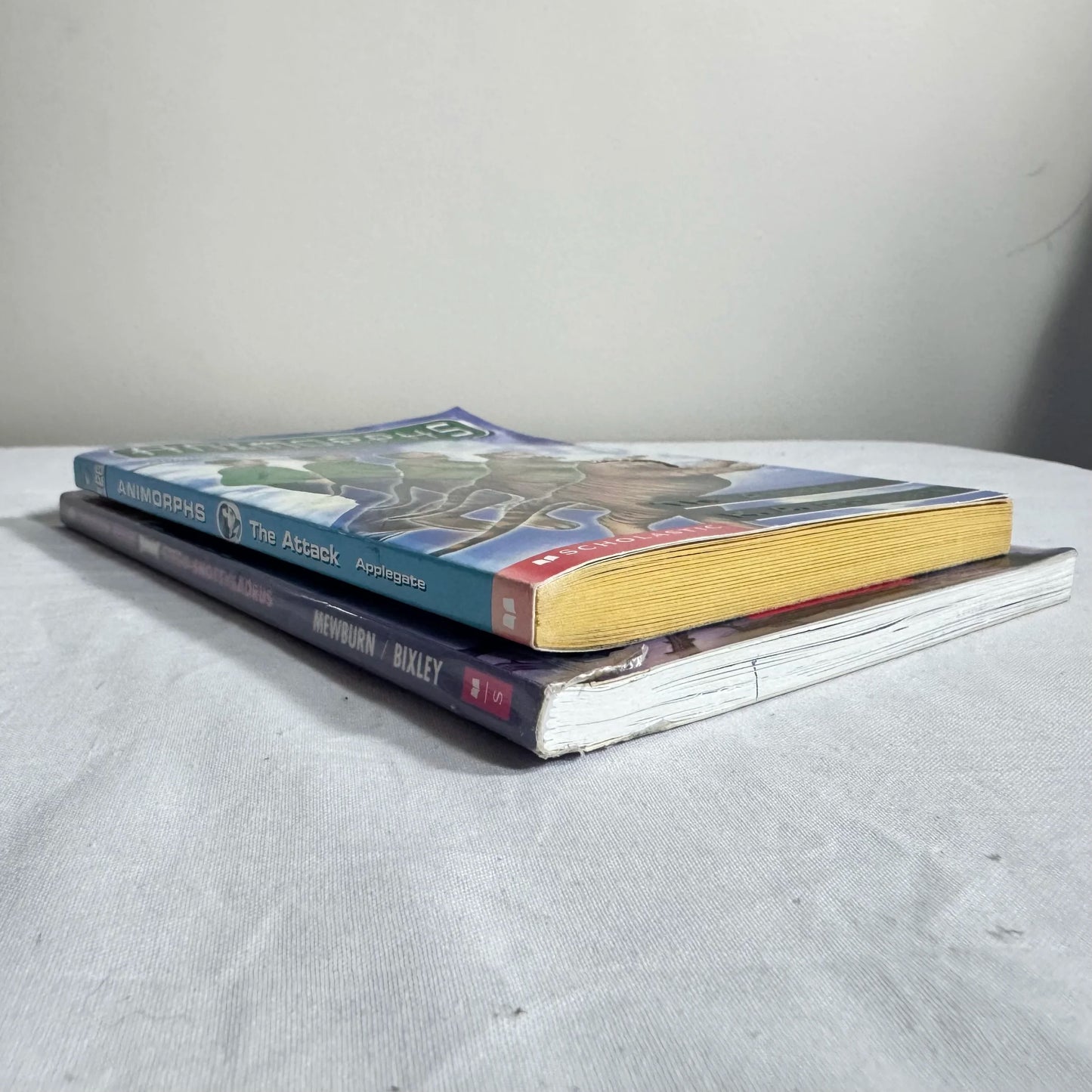 Children's Chapter Book Bundle x 2 Books