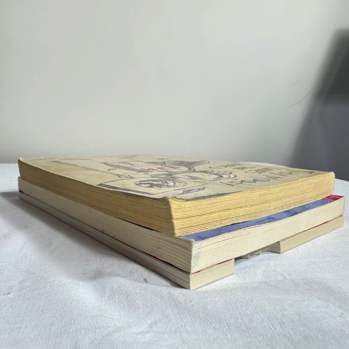 Children's Chapter Book Bundle x 3 Books