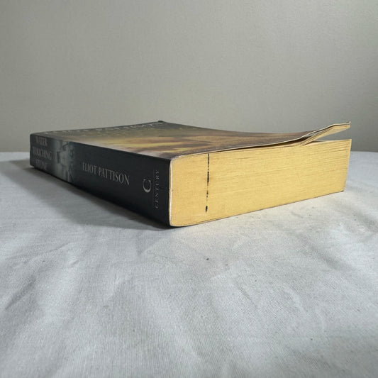 Water Touching Stone - Eliot Pattison