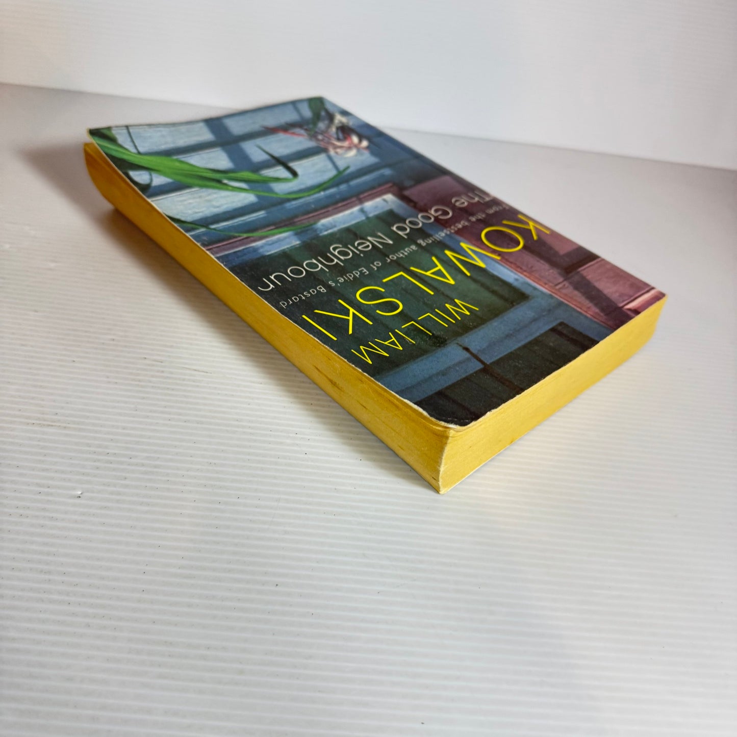 The Good Neighbour - William Kowalski