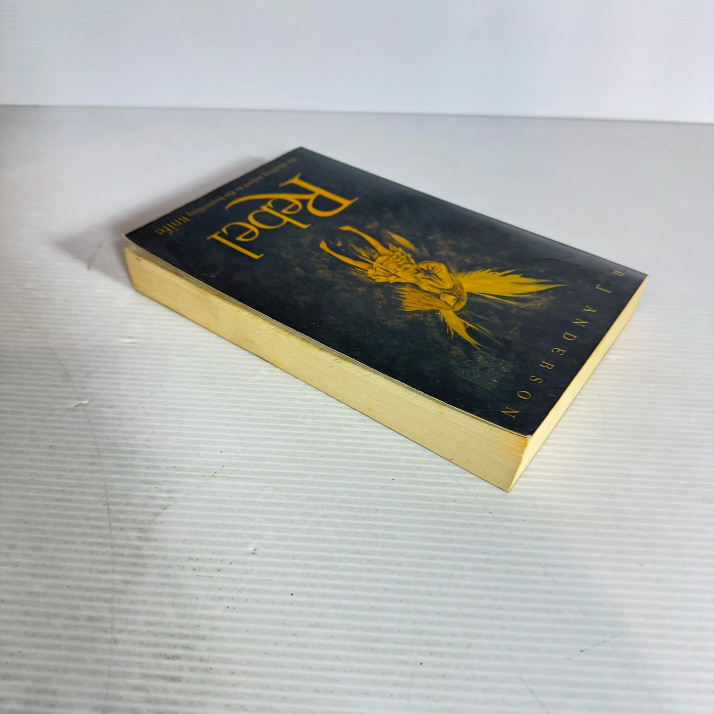 Rebel - B J Anderson