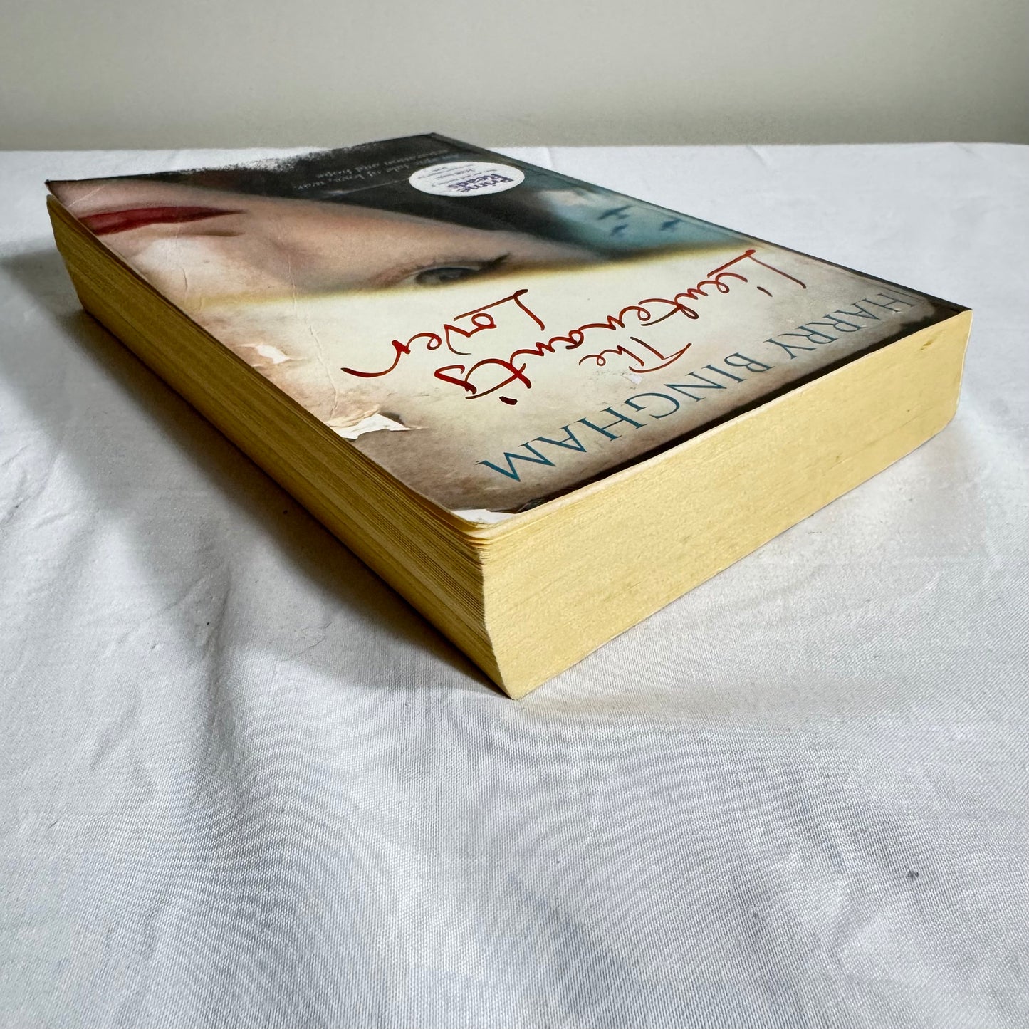 The Lieutenant's Lover - Harry Bingham