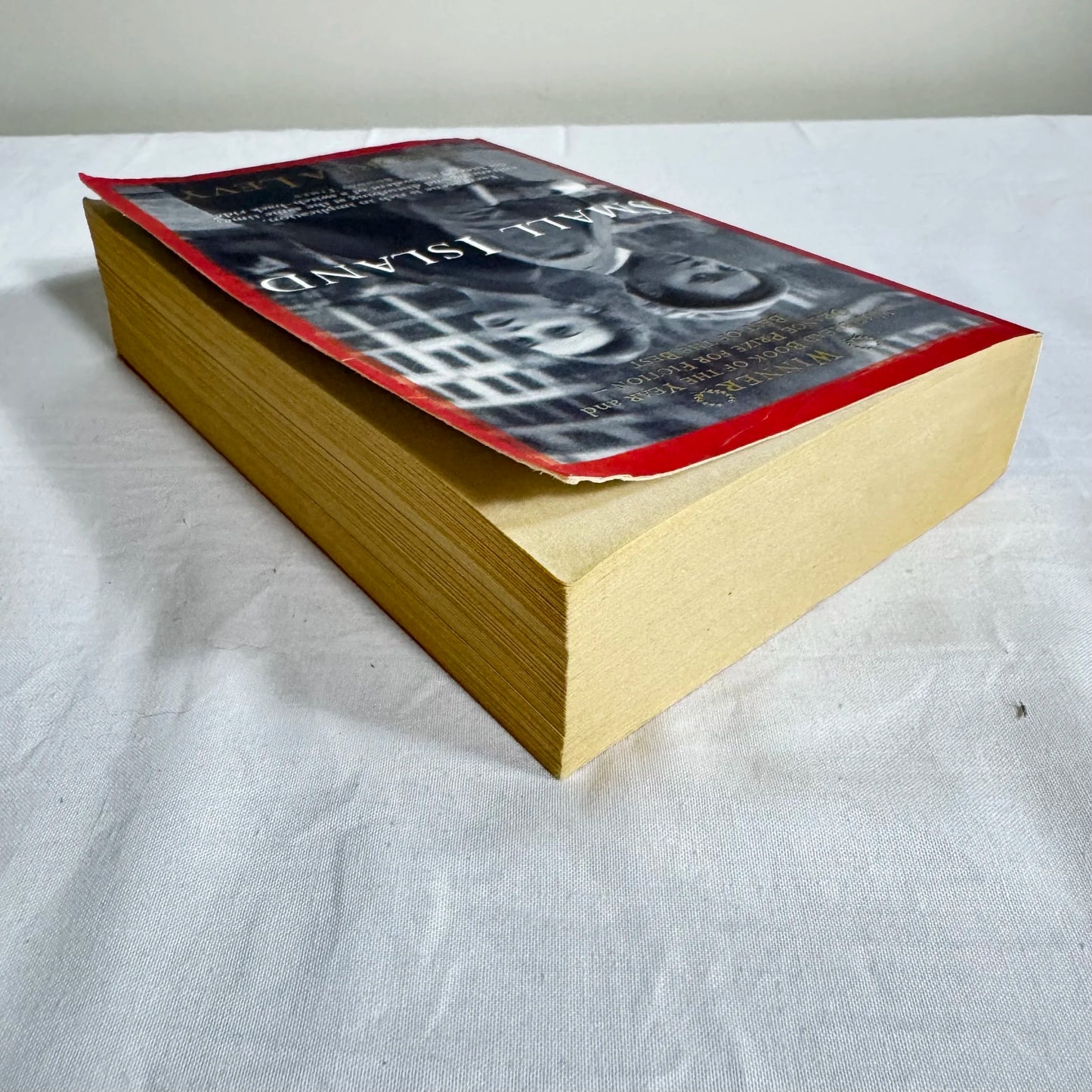 Small Island - Andrea Levy