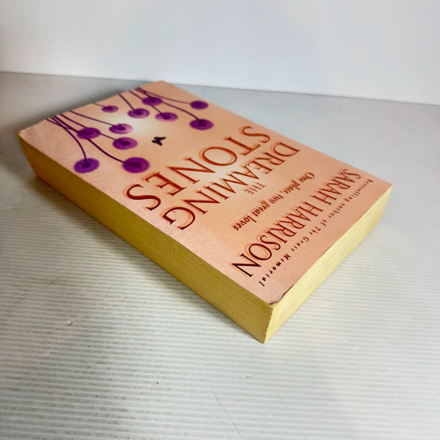 The Dreaming Stones - Sarah Harrison