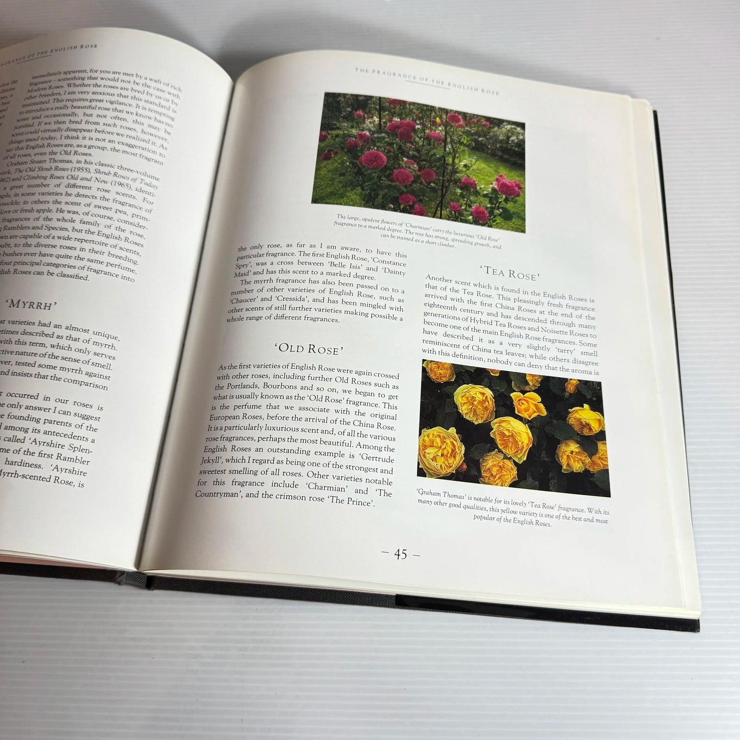 David Austin's English Roses