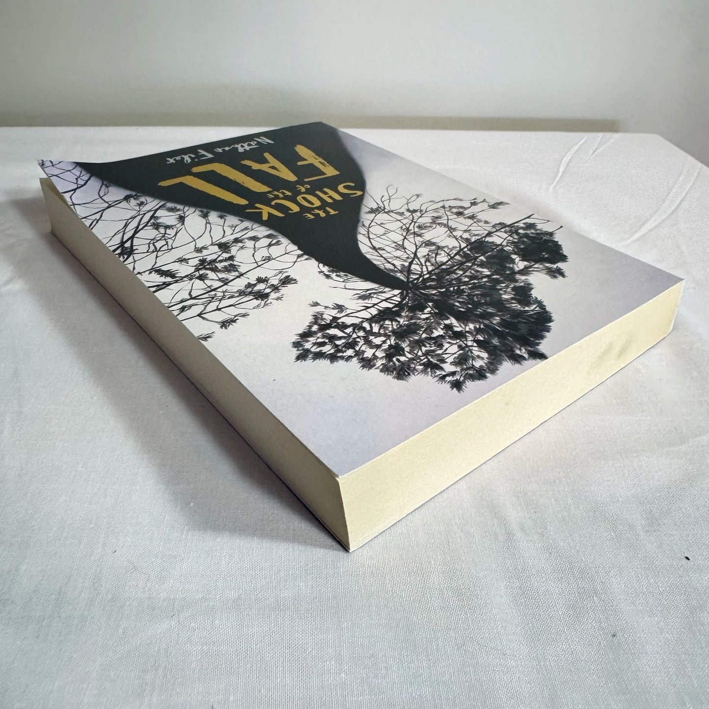The Shock of the Fall - Nathan Filer