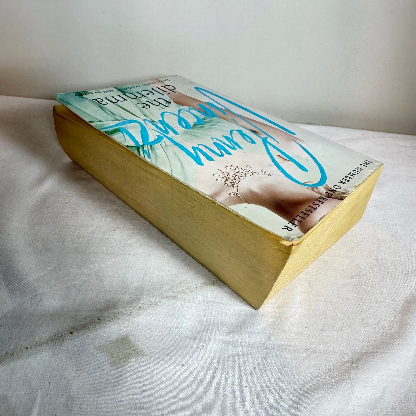 The Dilemma - Penny Vincenzi