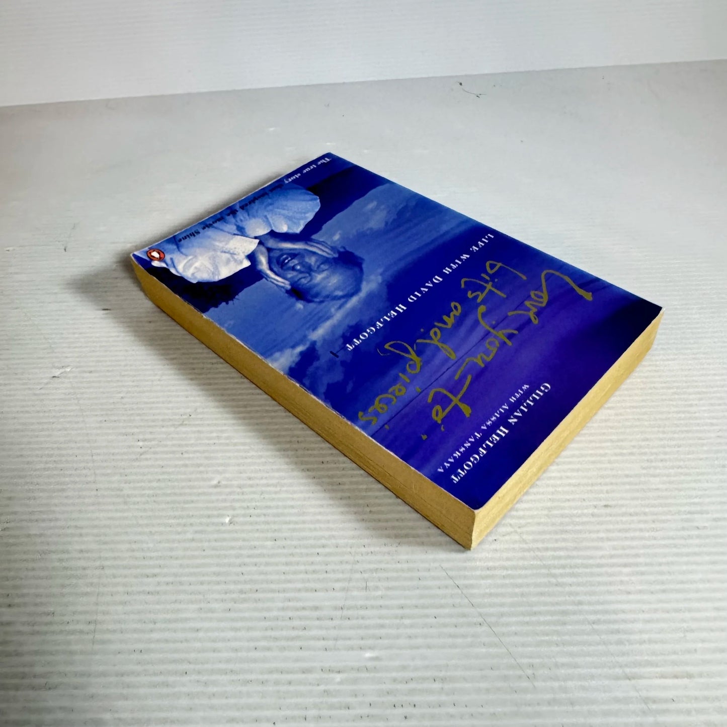 Love You To Bits and Pieces : Life With David Helfgott - Gillian Helfcott