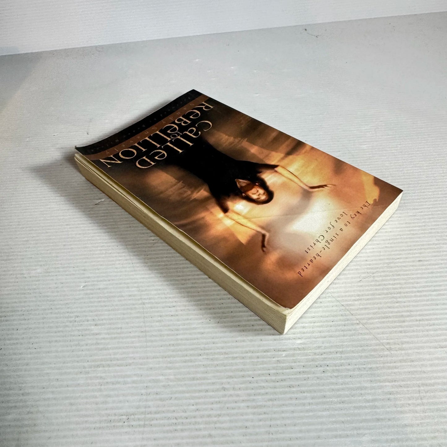 Called to Rebellion : The Key to a Single-hearted love for Christ - Sandy Snavely