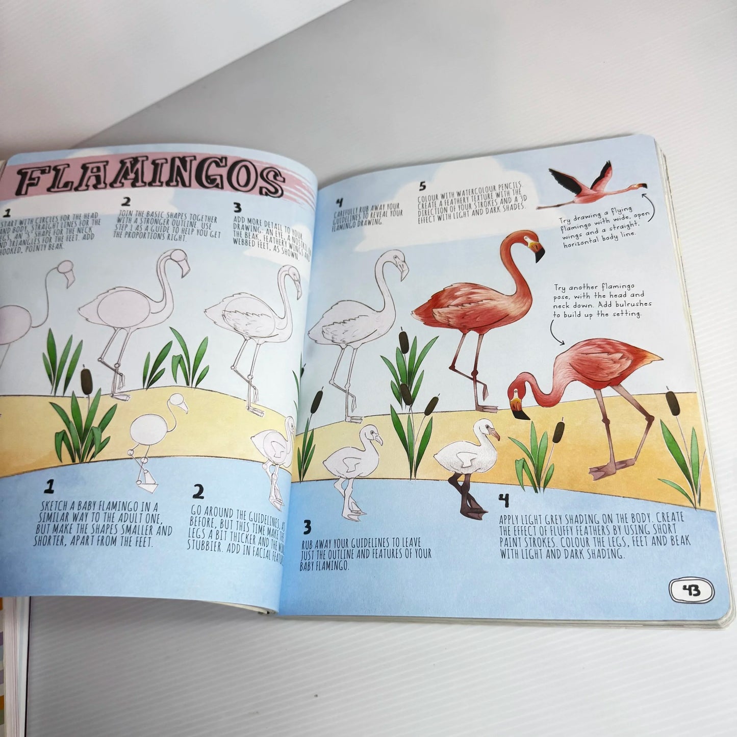 You Can Draw Anything : Includes Tips and Techniques