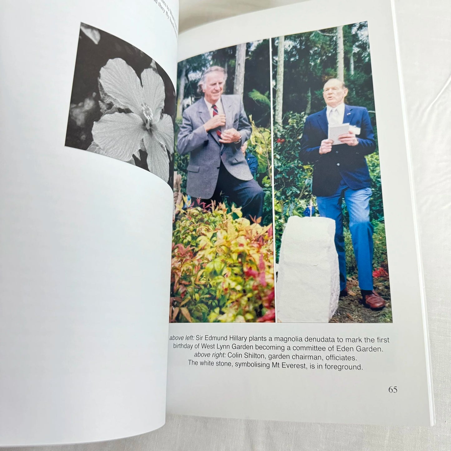 West Lynn Garden - Alison O'Grady