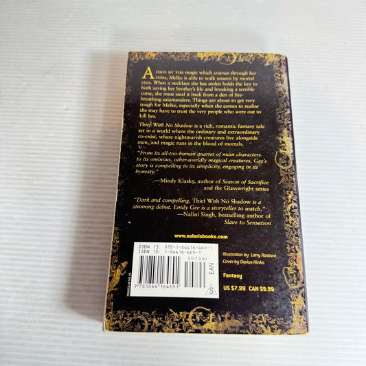 Thief With No Shadow - Emily Gee