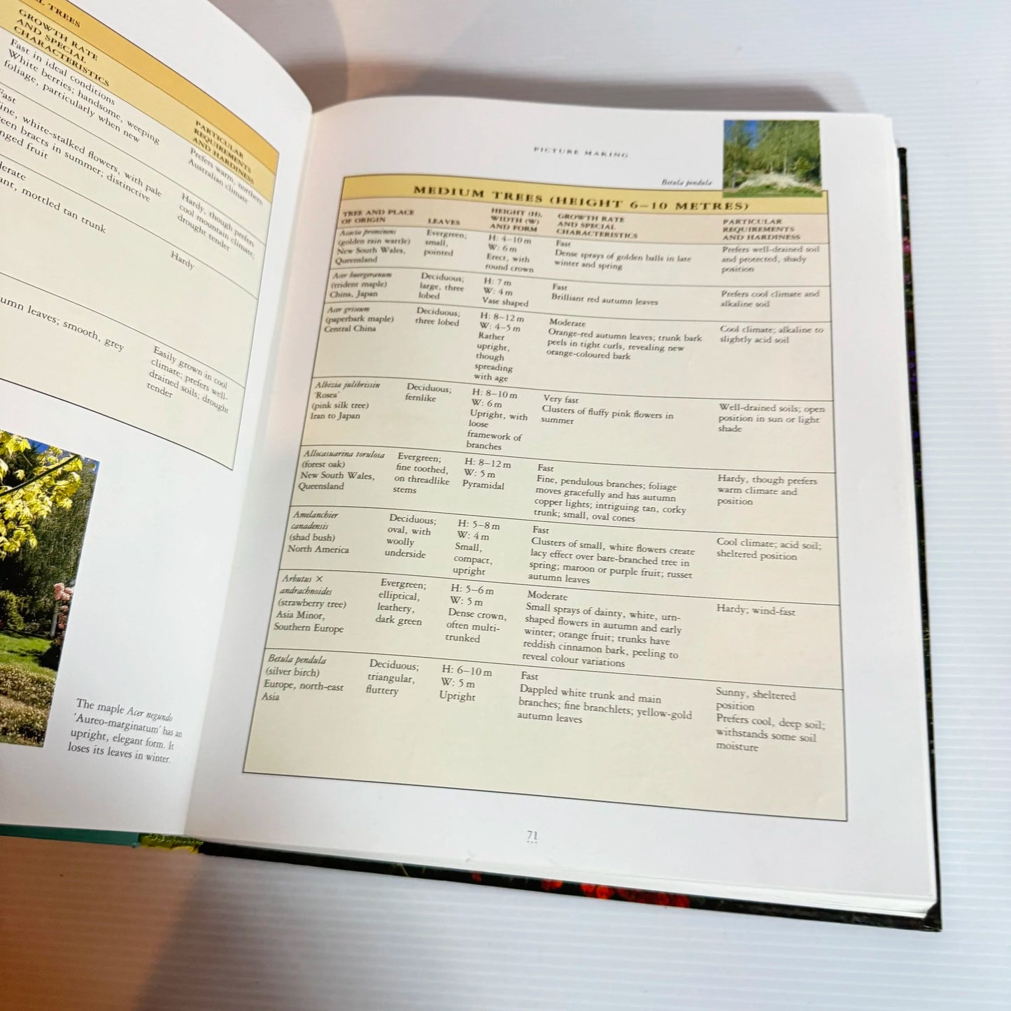 The New Zealand Garden: Planting Design & Style, Care & Maintenance - Jane Edmanson & Lorrie Lawrence