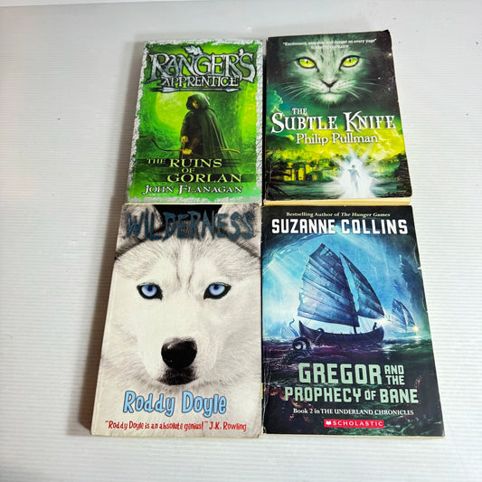 Preteen Adventure Chapter Book Bundle x 4 Books (440)