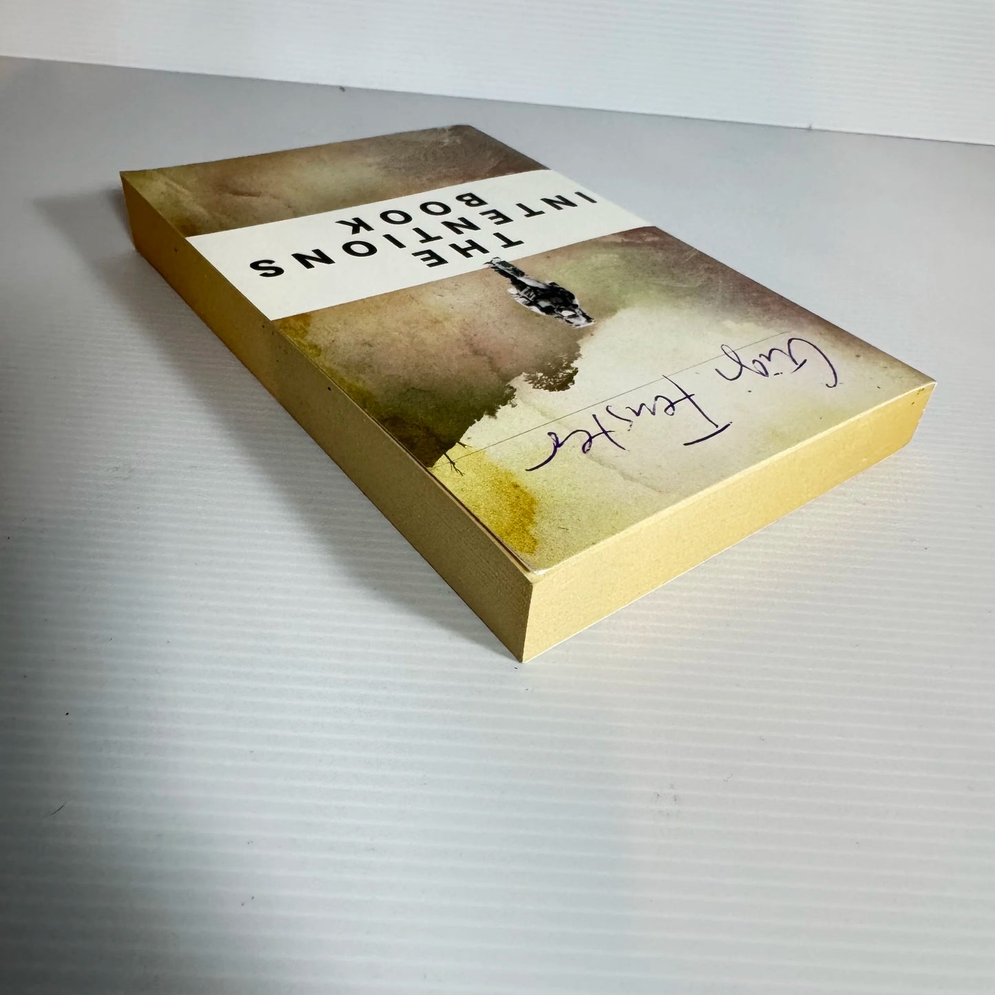 The Intentions Book - Gigi Fenster