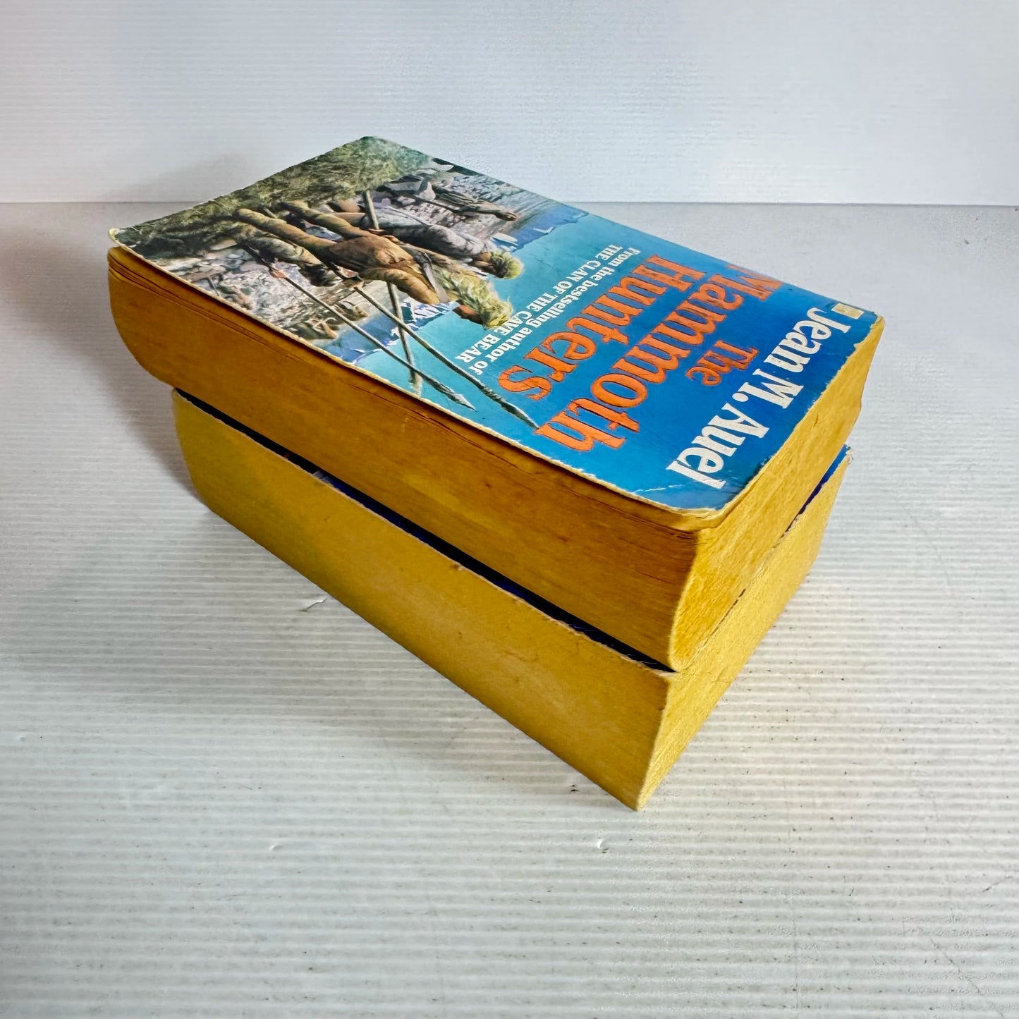 Jean M. Auel Book Bundle x2 The Mammoth Hunters & The Plains of Passage (644)