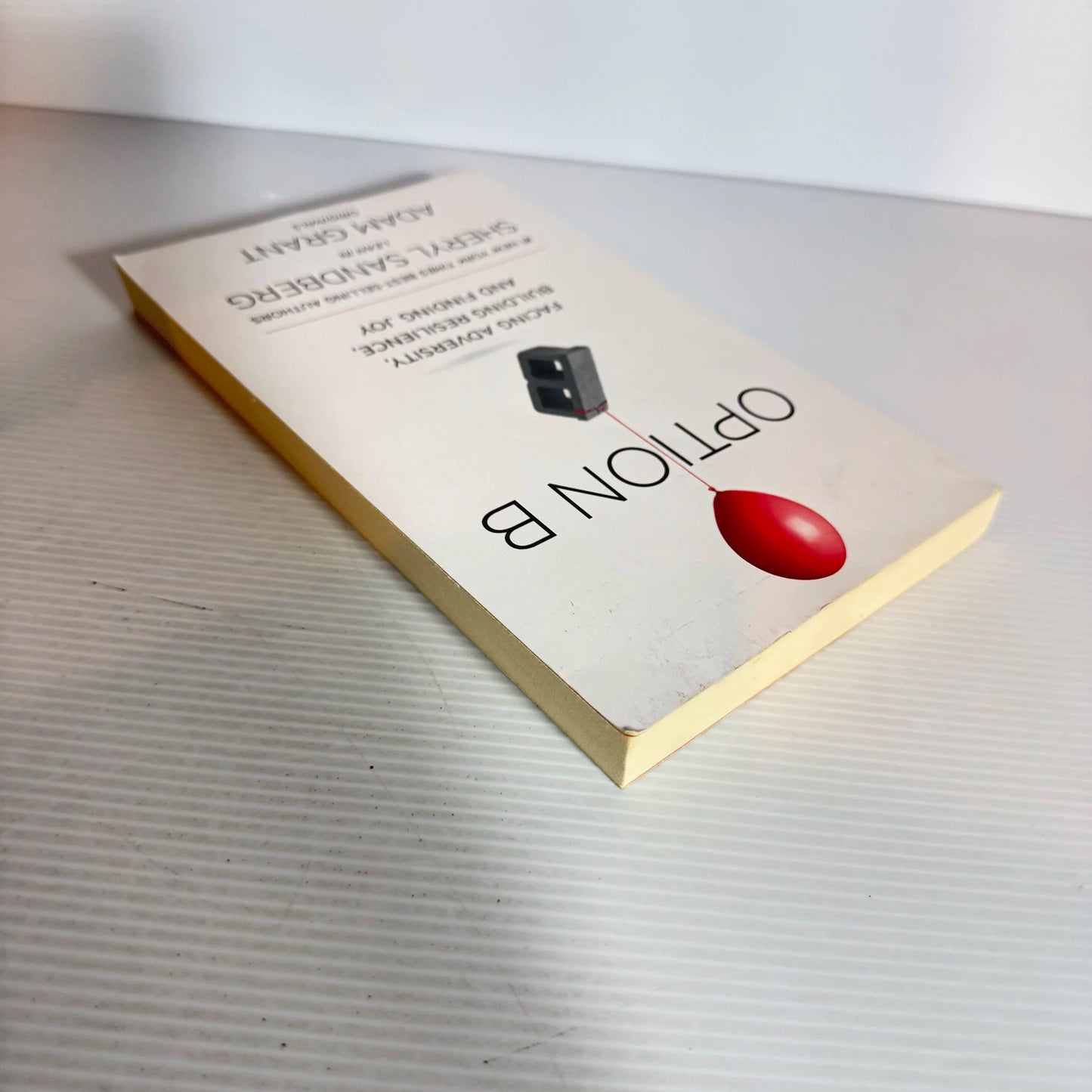 Option B : Facing Adversity, Building Resilience, and Finding Joy - Sheryl Sandberg & Adam Grant