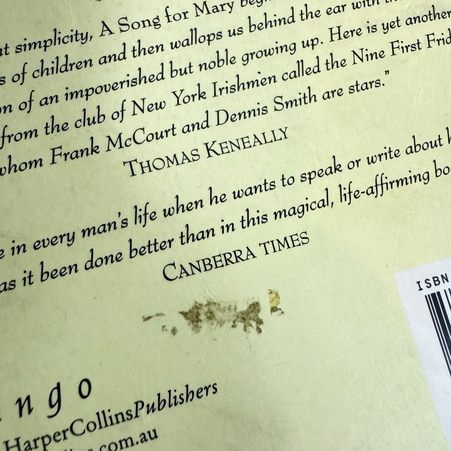 A Song For Mary : An Irish-American Memory - Dennis Smith