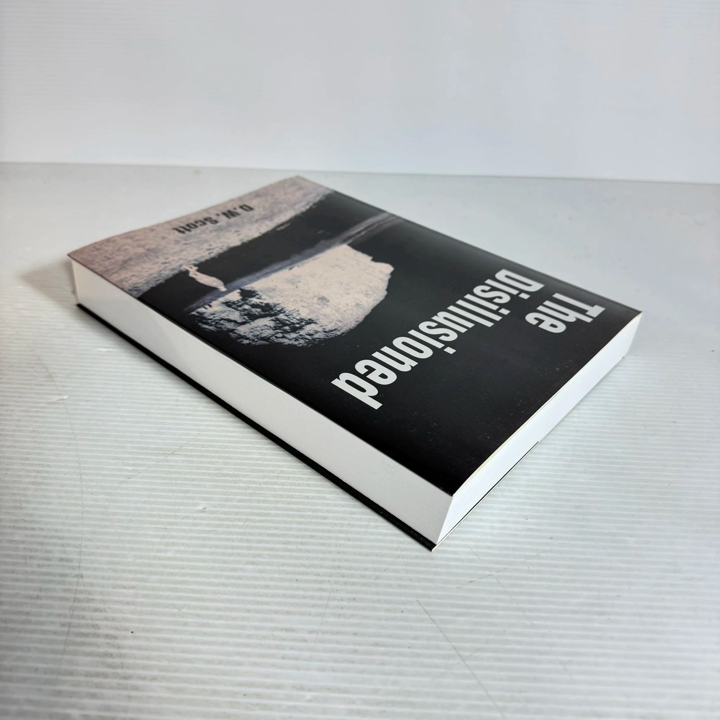 The Disillusioned - D.W. Scott