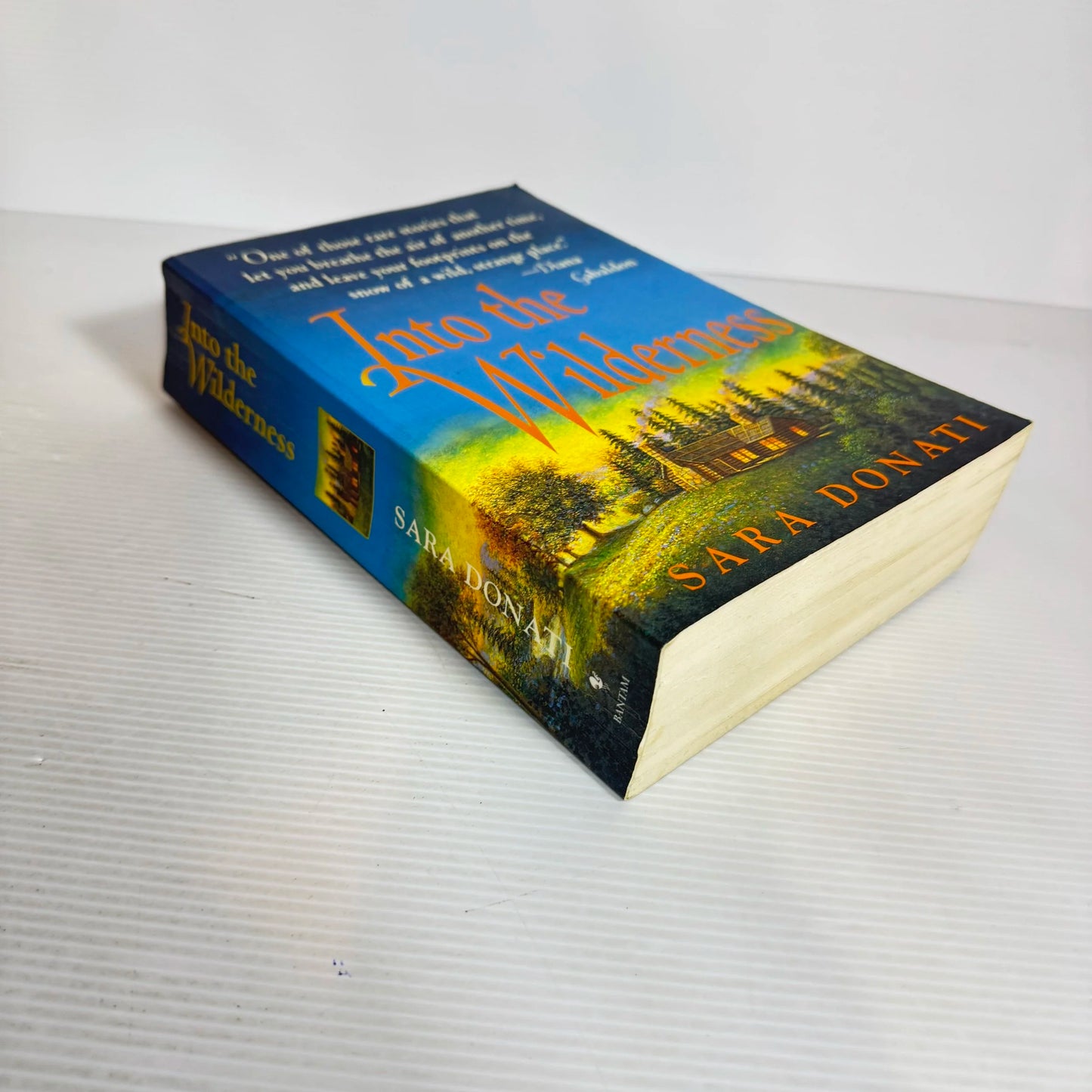 Into the Wilderness - Sara Donati