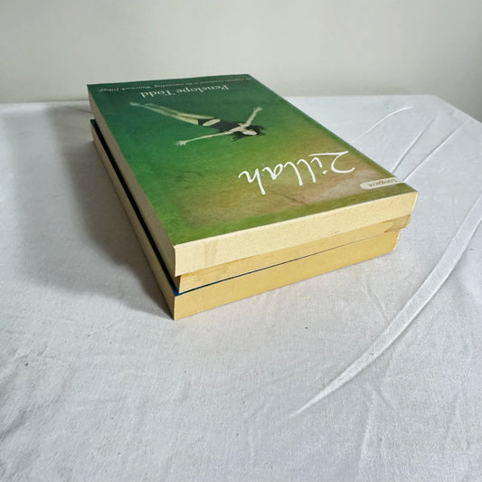 Young Adult Book Bundle x 3 - by Penelope Todd