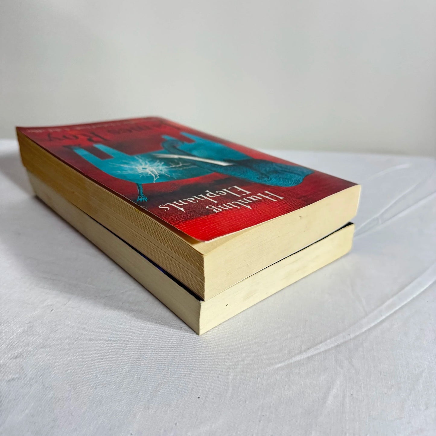 Young Adult Book Bundle x 2 - Feather Boy & Hunting Elephans