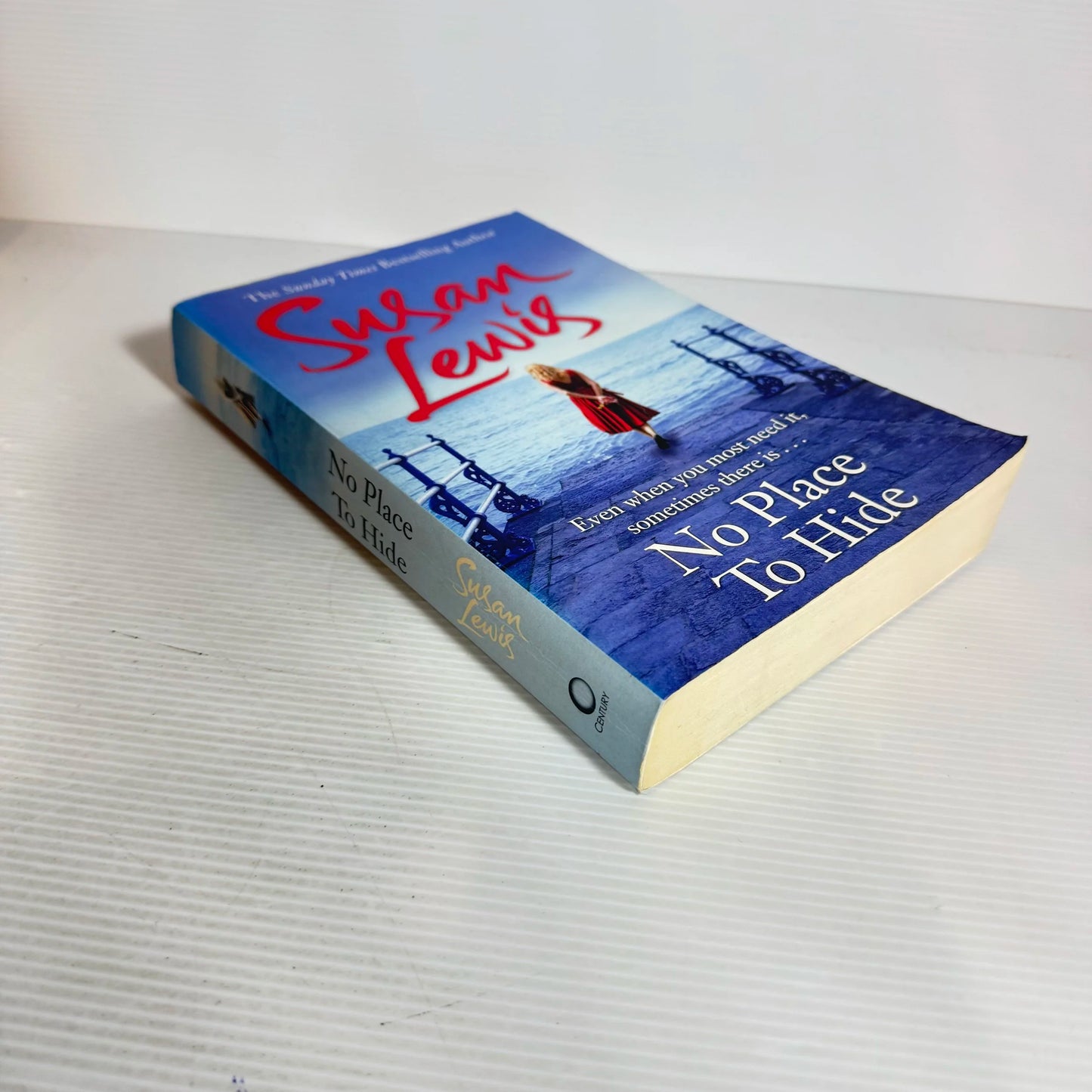 No Place To Hide - Susan Lewis