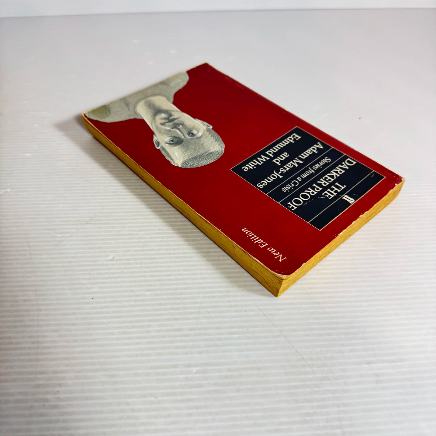 The Darker Proof : Stories from a Crisis - Adam Mars-Jones & Edmund White