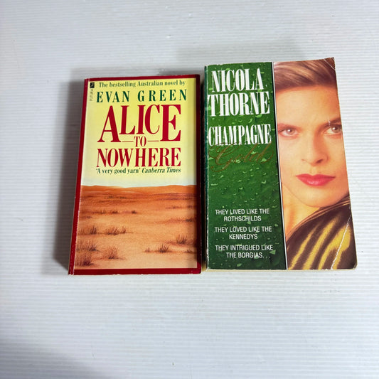 Domestic Fiction Book Bundle x 2 Champagne Gold - Nicola Thorne & Alice to Nowhere - Evan Green (570)