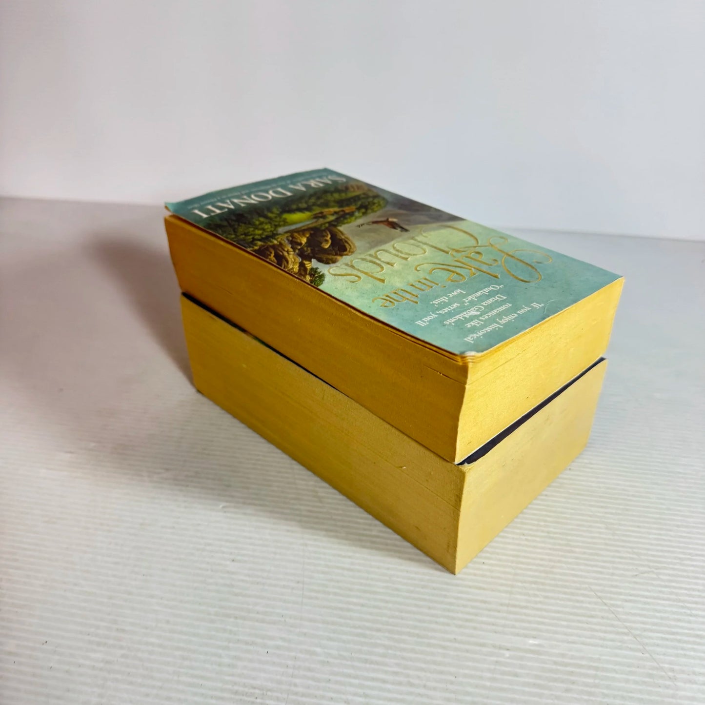 Sara Donati Book Bundle x 2 Books Into the Wilderness & Lake in the Clouds (563)