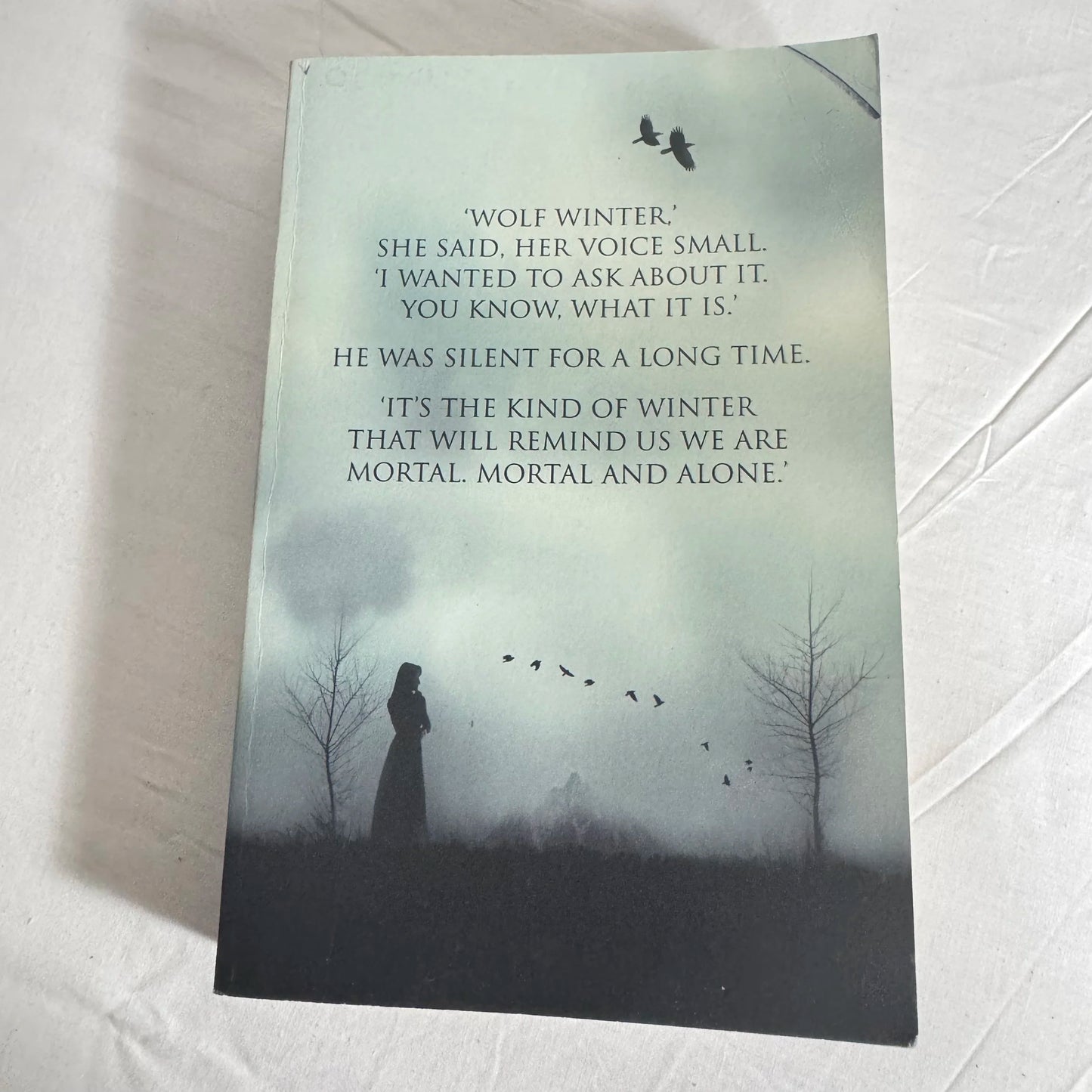 Wolf Winter - Cecila Ekack