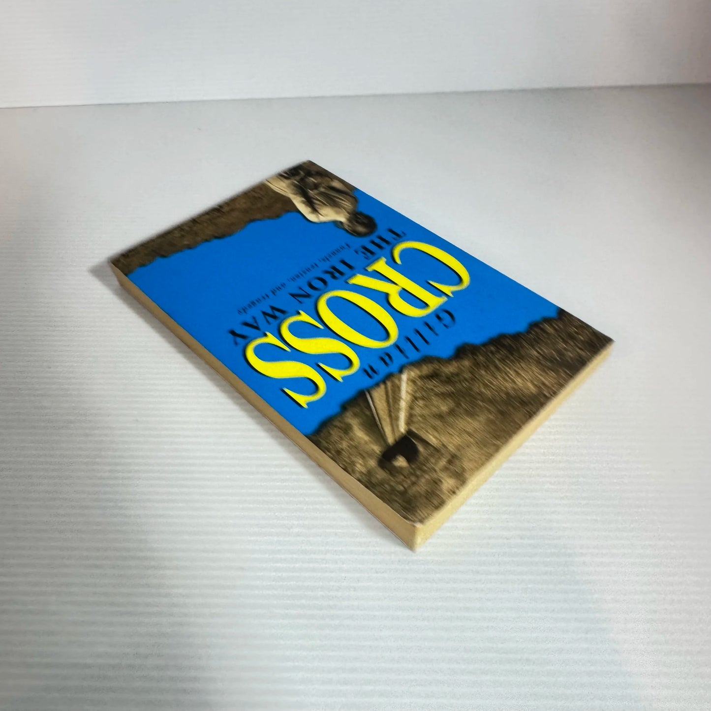 The Iron Way - Gillian Cross