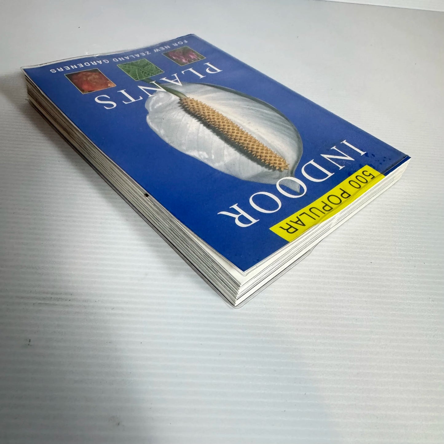 500 Popular Indoor Plants for New Zealand Gardeners