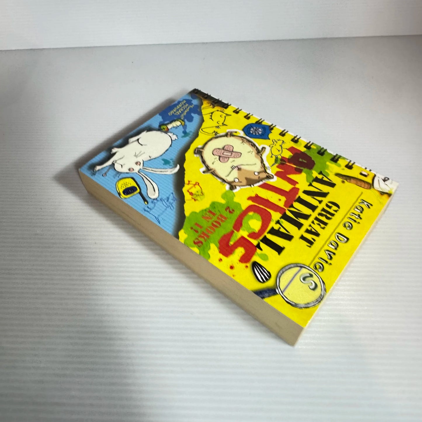 Great Animal Antics (2 Books in 1) - Katie Davies